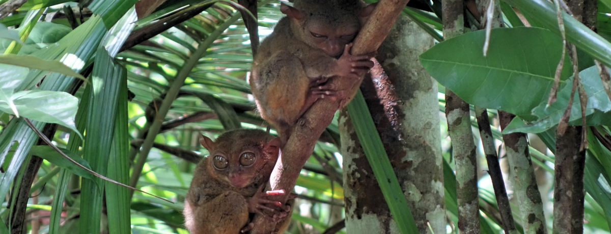 tBs̖͈όX|bgIڂ́u{z[v