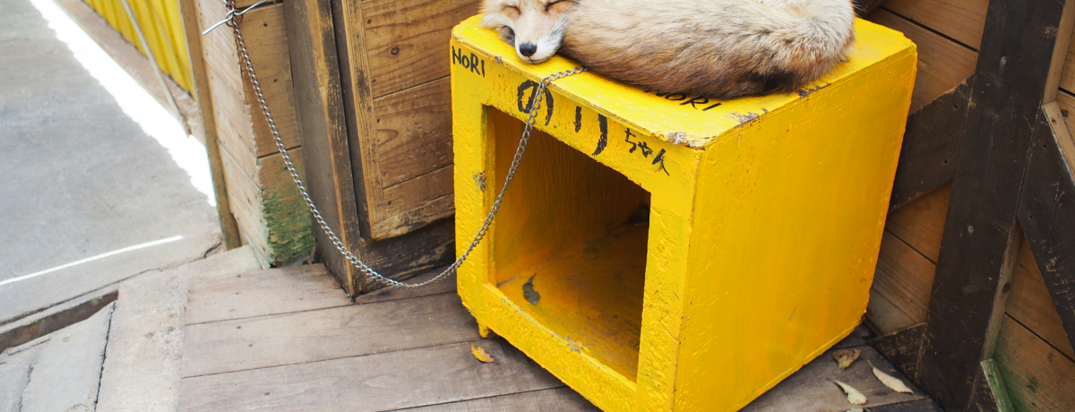 I{鑠LclɃLcl̃ttɍs