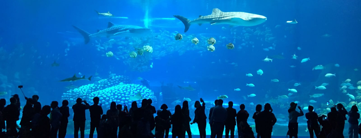 T̃MlXɓo^ICɂ鐢E̐ق̖