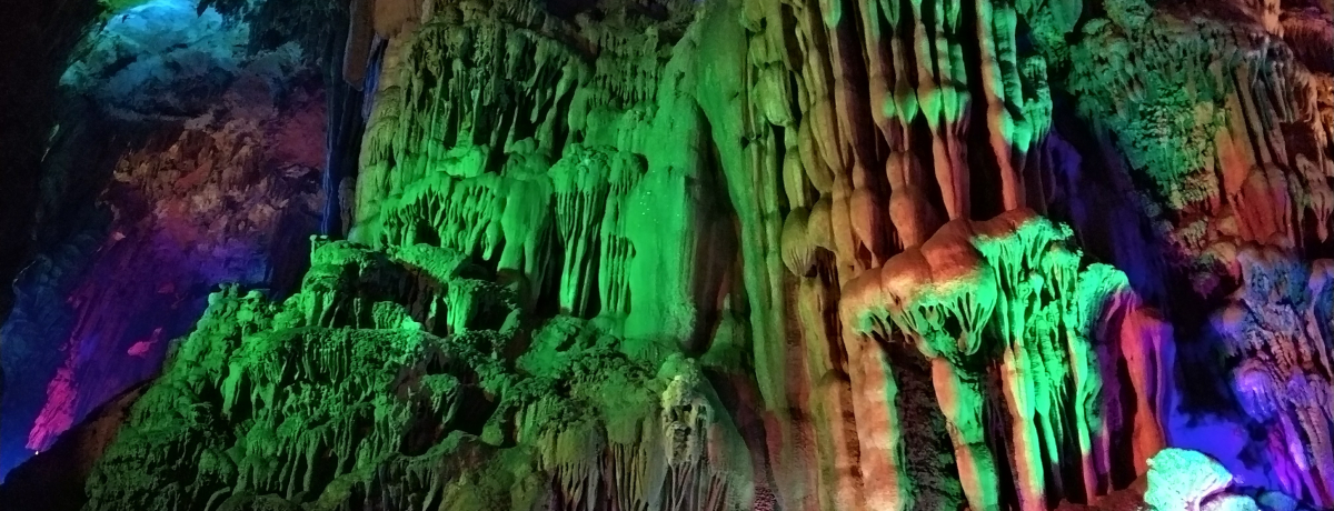 �����u�j�сv�Ő�΍s������4�̃X�|�b�g�ƃ��Ƒ��X�e�C