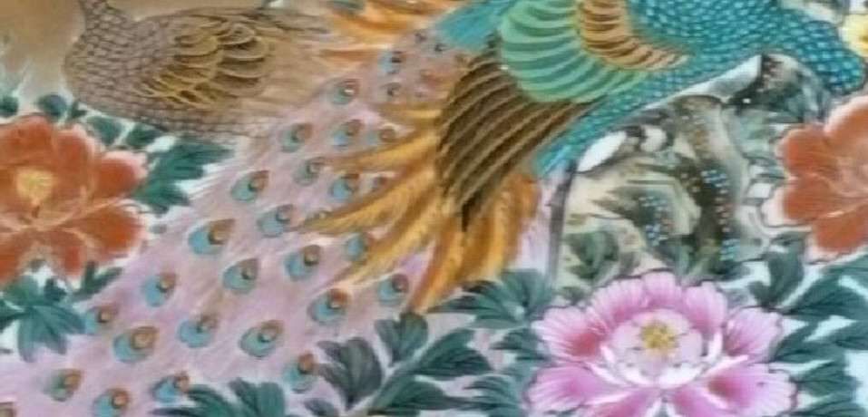 lB́AROOL]N̋JĂŁAPROON̗j̓ɐZ@ΐ쌧R㉷