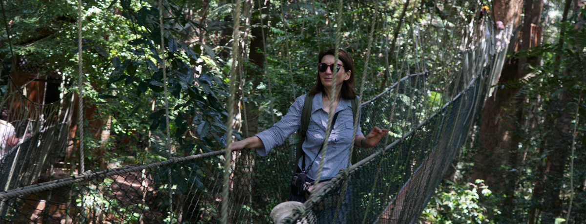 WOȂł͂̃ANeBreB[ɐZ }[VAu^}lKv