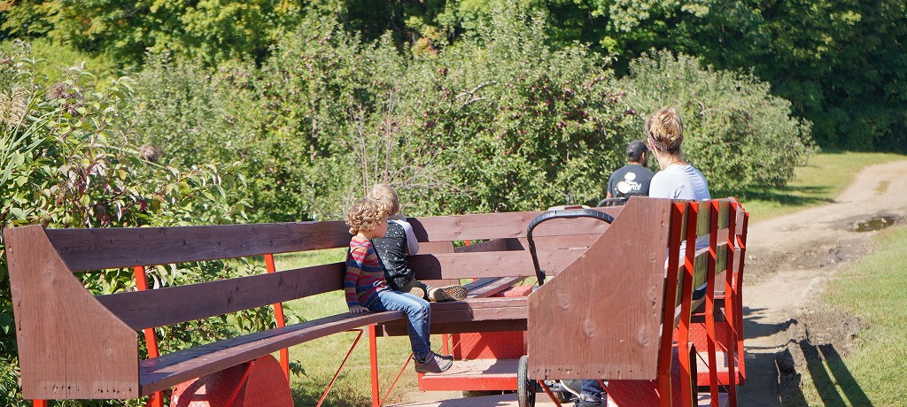 �����g���I�[������45���Ń����S���u���{���e�f���|���ʎ����v