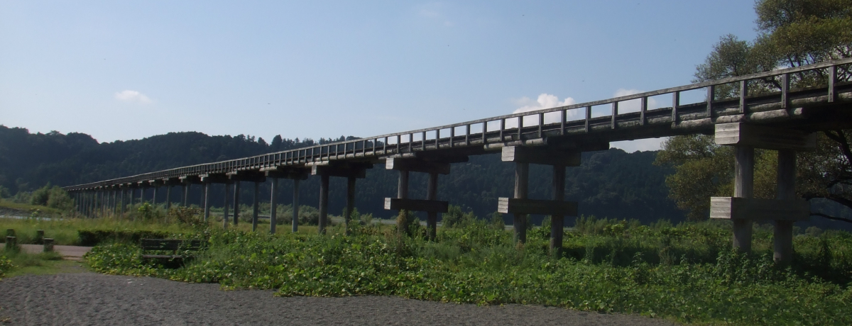 �w�������I�Q�Ό��x�w�ƂƎo�����x���P�n�I�É��E�H�����̓h���}�ɉf��ɑ劈��