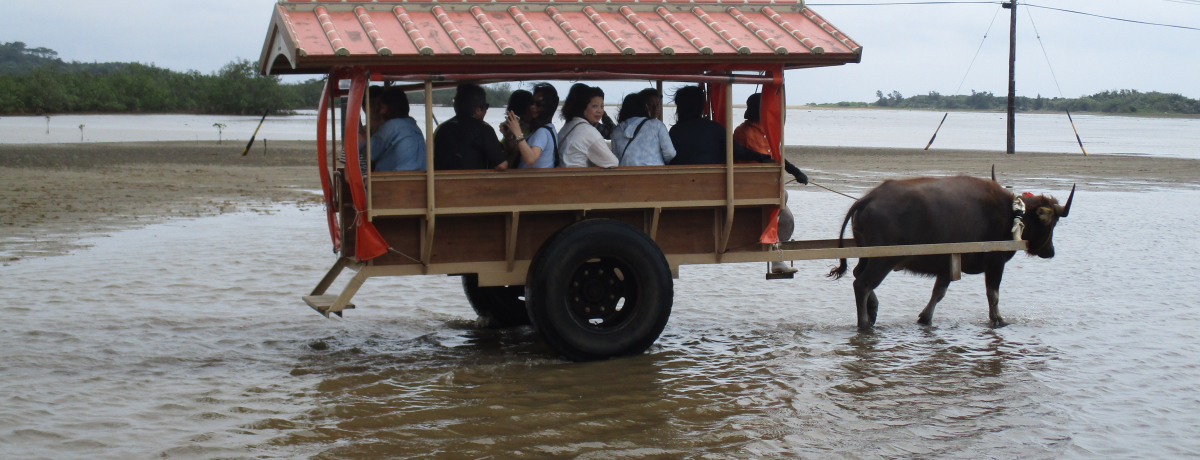 C̒ɓd!?ERzłȂR̒i