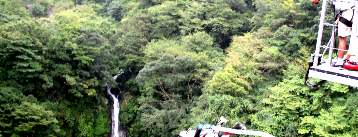 ɂ̓xI{ÐkJEȊŃoW[WvI