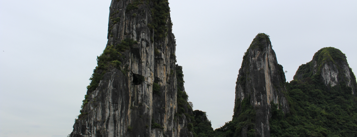 �x�g�i���̐��E��Y�n�����p�����߂��֗��ɁI���f��̃��P�n��