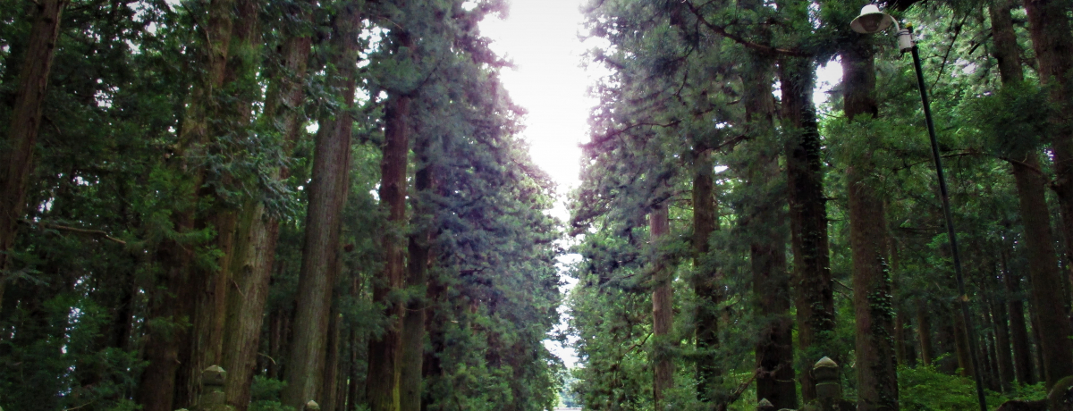 ���ꂼ�_��I�u�k���{�{�y�m��Ԑ_�Ёv�Ő[�R�H�J�̕��͋C�𖡂키