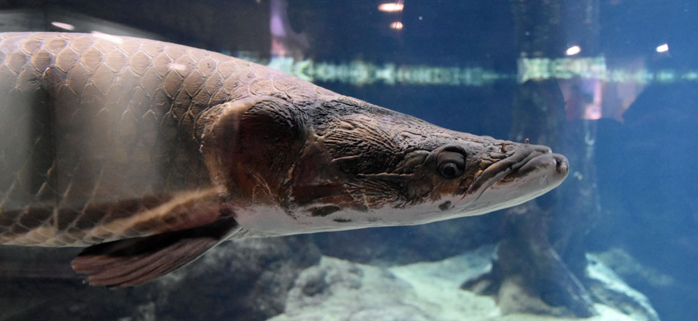 SNS�Řb��I���ȊO����������̐���!?�u�������ܐ����فv����4�I