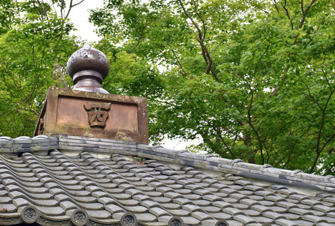 �Ñ�~�X�e���[�t�@���K�K�I���{�O�Ô�E�{��u������v