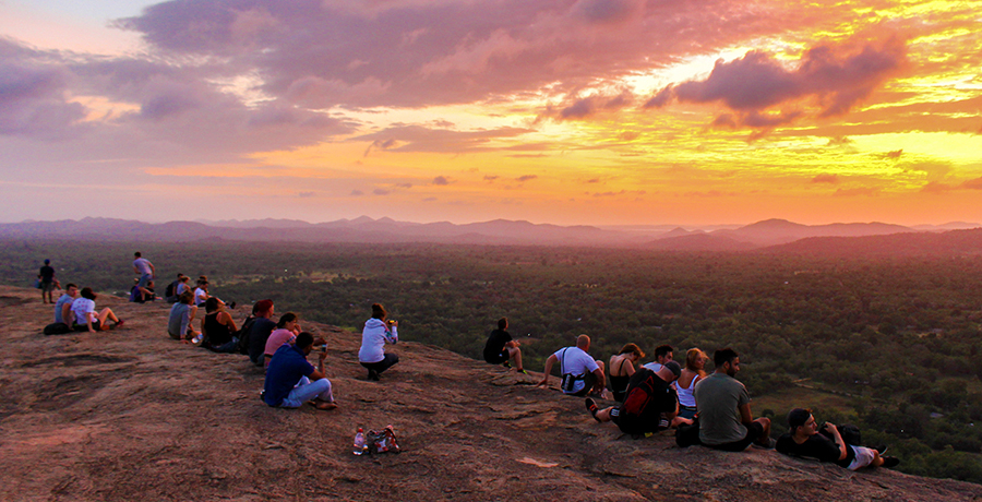 �V�[�M������������Ȃ��I�B���i�X�|�b�g�u�s�h�D�����K�����b�N�v