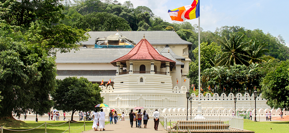 �X�������J�̌Ós�L�����f�B�P���ό����f���R�[�X