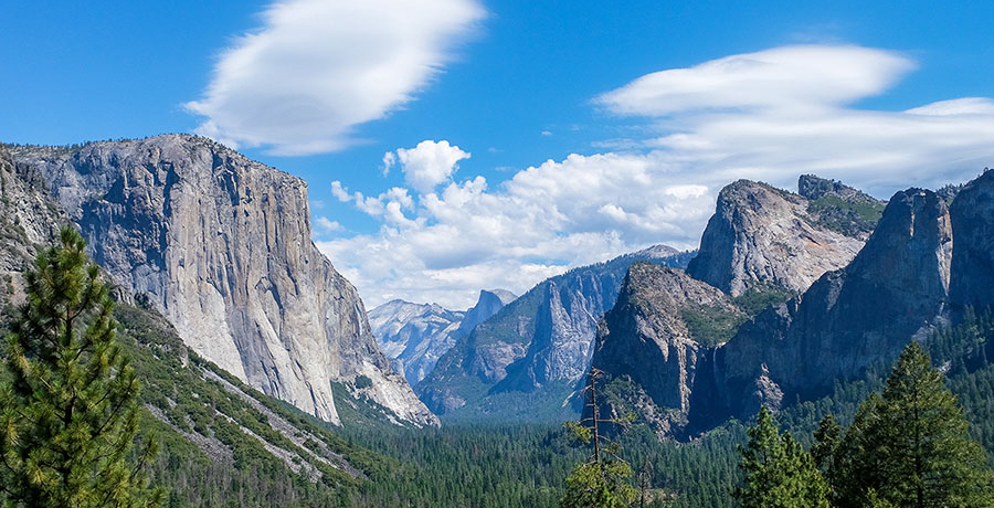 �͂��߂Ẵ��Z�~�e���������I�������Ȃ���i�X�|�b�g5�I