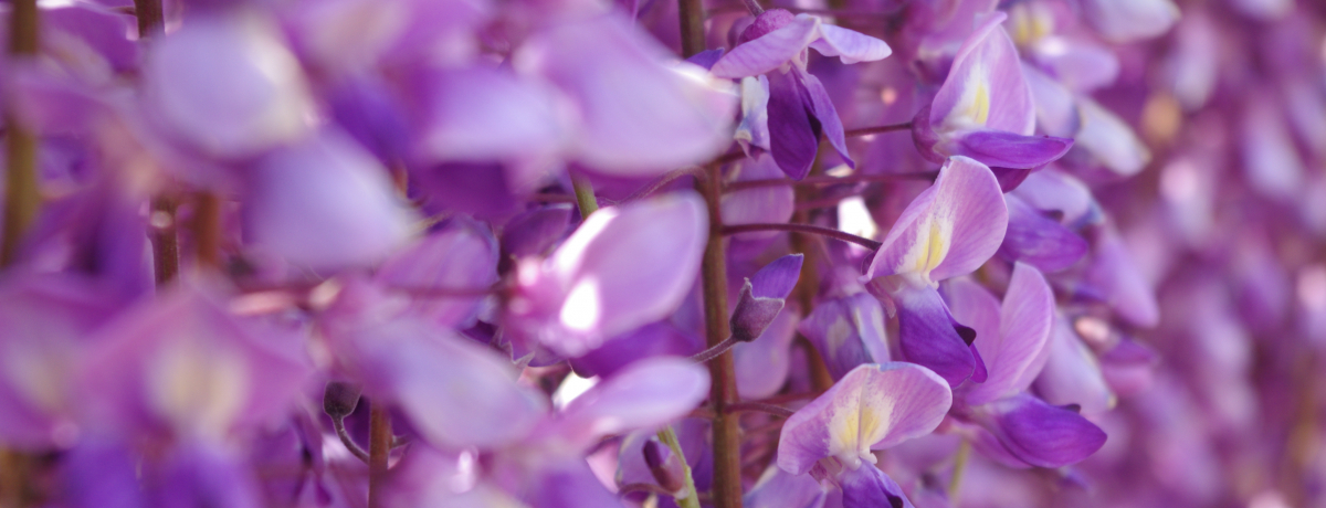 �܂�Ŗ��̐��E�I���������̖��͈���u���������t�����[�p�[�N�v