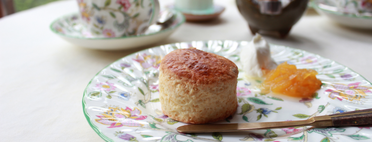 �吳�̕���Y�����@��J�t�F ���s�u�ޏh �V�\���v