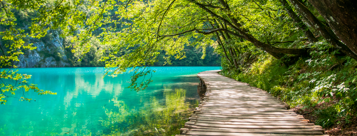 GhO[ɋPNA`AEYuvgBcFΌQv