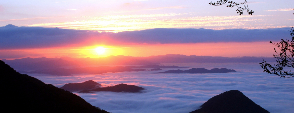 �Ԃōs���鋞�s��]�R�̉_�C�X�|�b�g�I�S�Ԉ�א_�Ё��g���C��