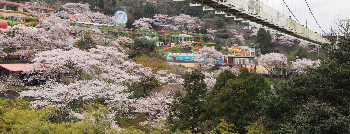 Vnfr[ɂ߁Iʕ{̘VܗVnuʕ{Ne`v