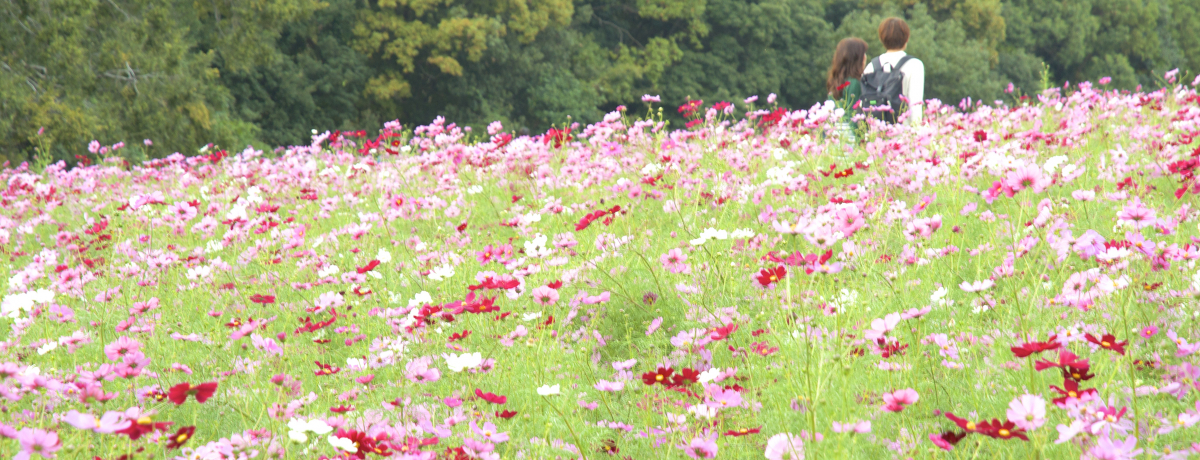 HʂRXX̋uI̖LOɏH̍ʂ