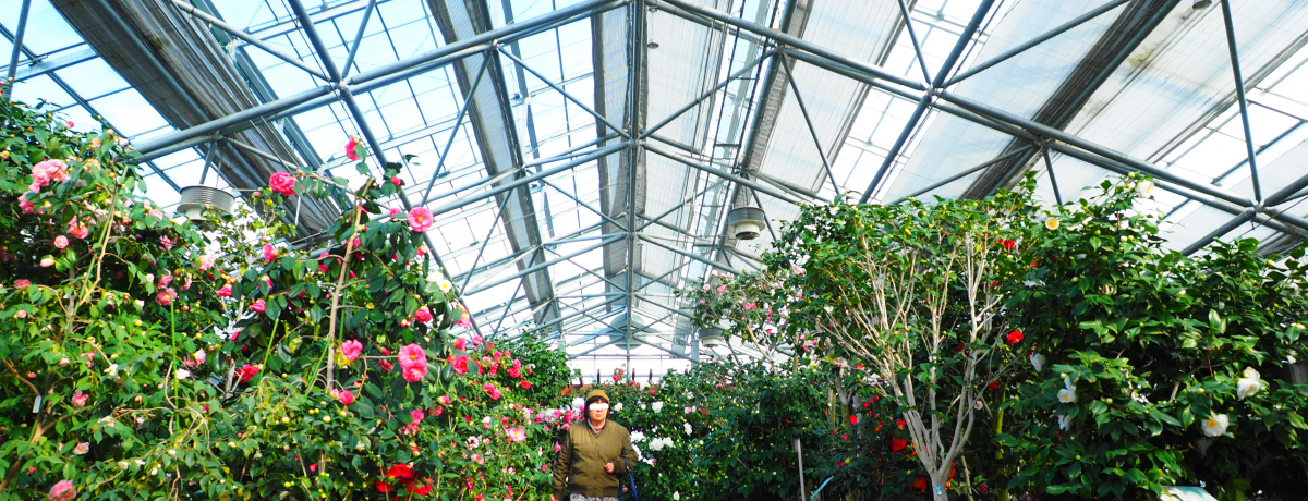 I600̒ցAE̒֊ ΁uĎOEDn΂܂v