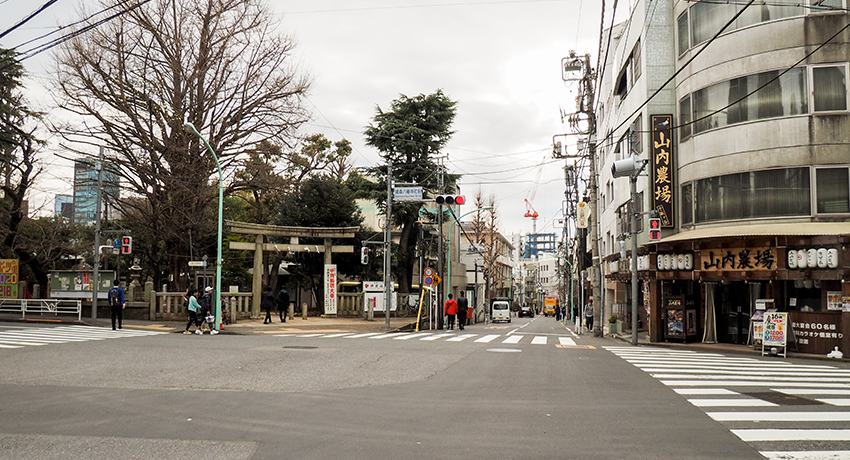 tt@̐nAEʃJ̔EGĂ݂悤