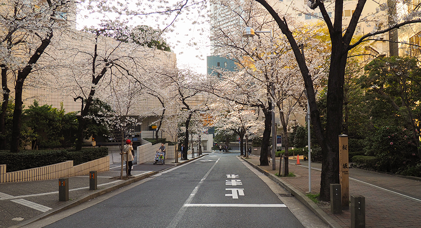 Z{؂̉BԌX|bguvƋ⋳Ղ߂