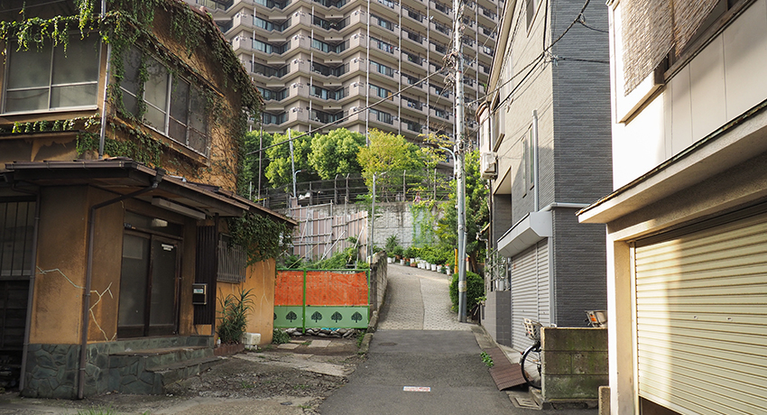 ���z��ĊJ���Ō����Ȃ��Ȃ铌���̕��i�I��P�V�J��Ɨ�����߂���