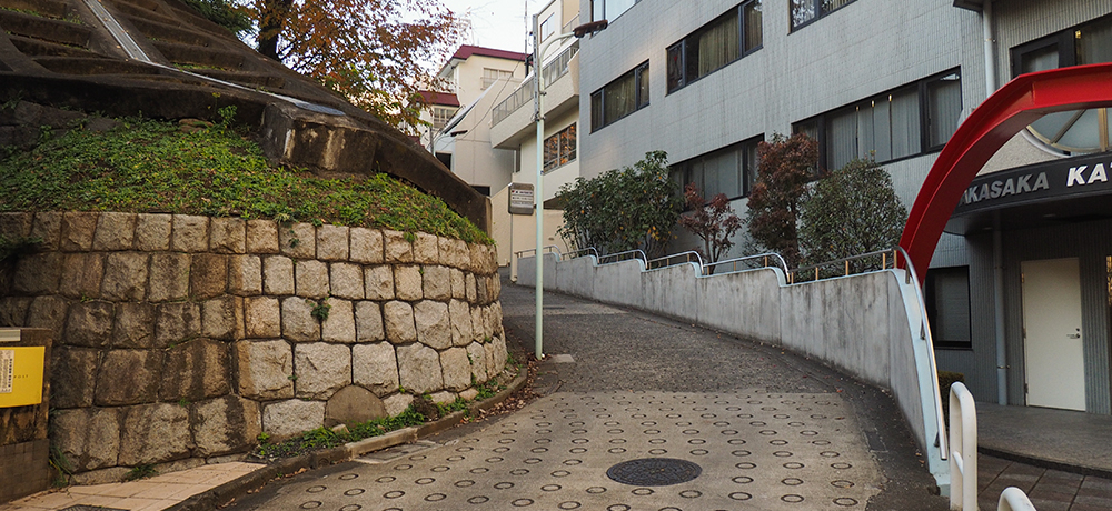 h}ubvV[̕IEԍ̓암ƊEG⓹߂