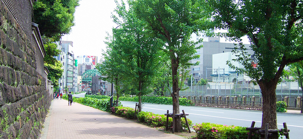 �h���}�wJIN -�m-�x�̐��n�Ƃ����[�������̍⓹���߂����Ă݂�