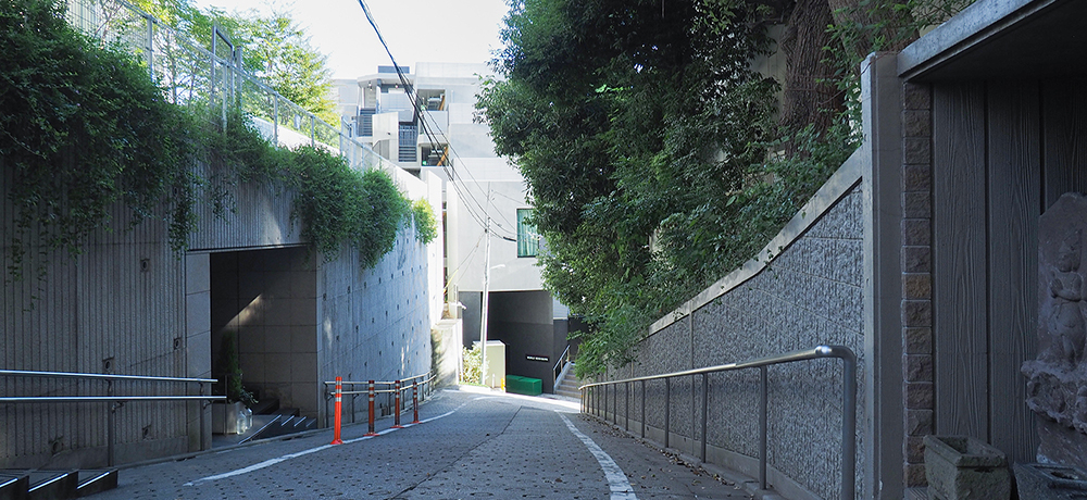 ���ڍ��w����������I�]�˖�����x�m�R�Ƃ����[���ʏ���߂���