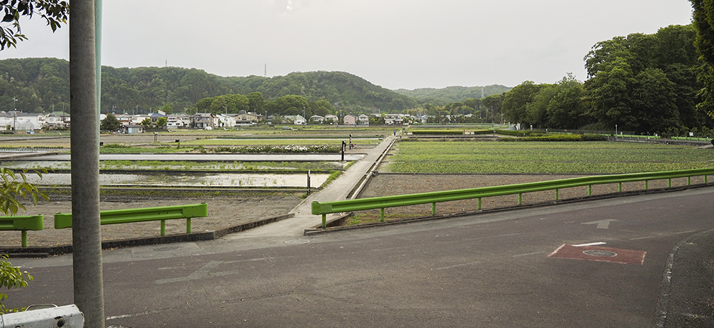 Gߐ܁X̐ciy߂IEHs̉JƊEG