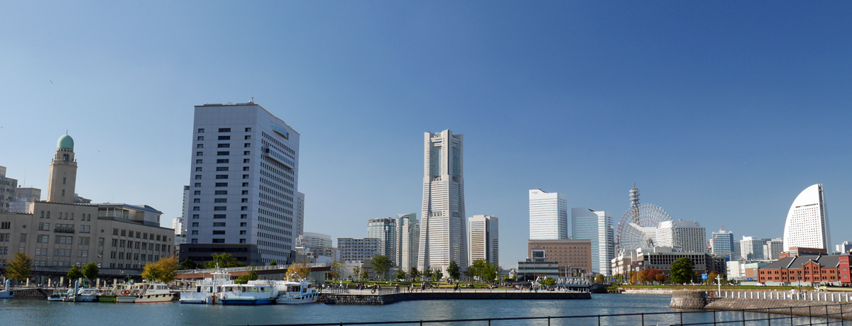 ���l�x�C�G���A�ό��͂�����H��I��Ԃ̖������q���u�J�`�̓��v