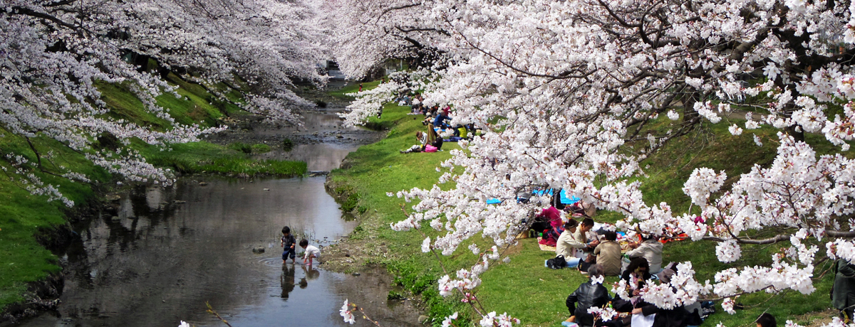 ssŐi̍؁It́uΓvƁucxv