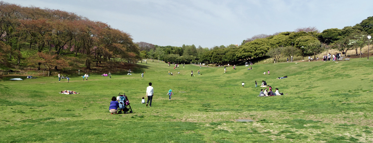 {̗mnՁILꂪu lsuݐXьv