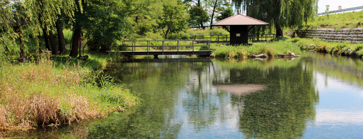 ₩Ȑ̐iIuN̋v쌧ܖ̐i