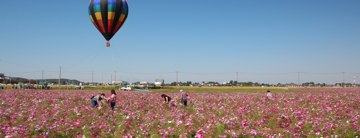 nɈ̏HiFIʁu悵݃RXX܂v