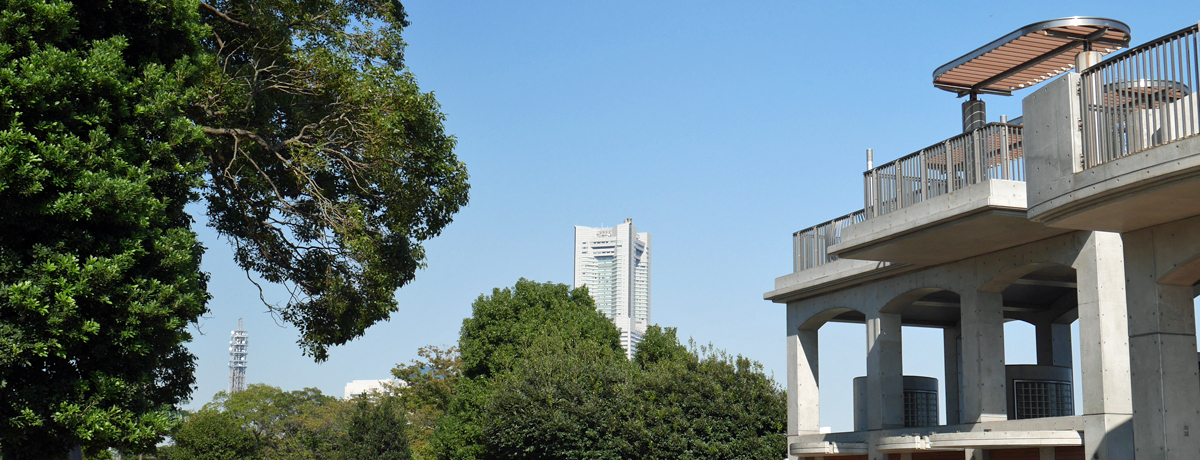 lC̍synŉl̗jɐGIlsuюRv