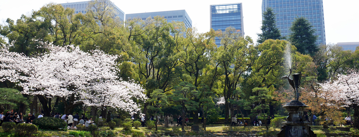 sSłԌ͂H炭uJvŊyޏtU