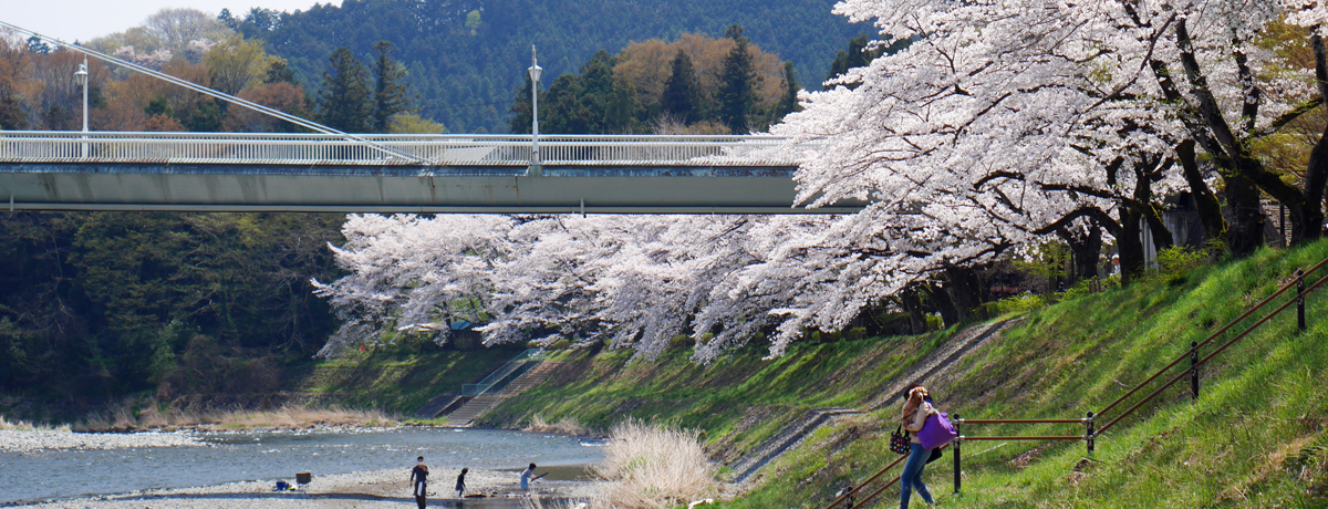 ݂͊̍؂iIs~su̕v̏t