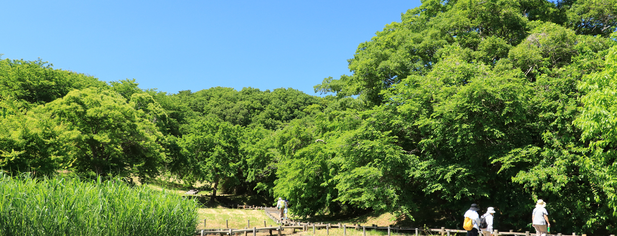 RiIusRcΒnvőu˂̖͂