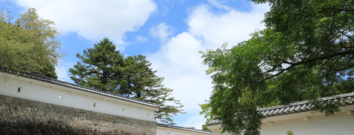 u킹ṽp[X|bgIsuKՁv̌