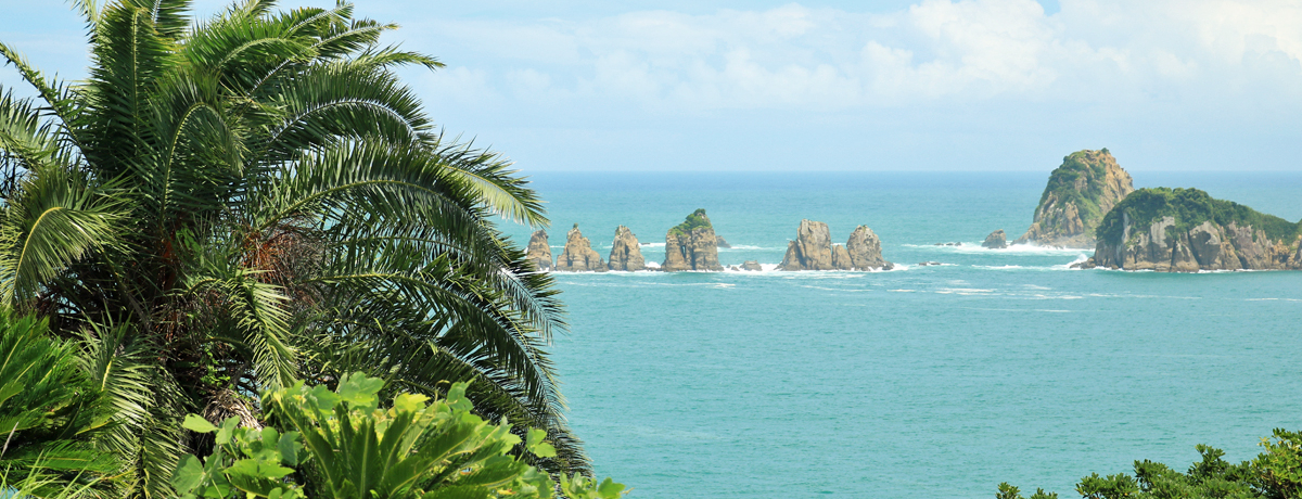 C݂̉Bꂽr[|CgI{u@vŐi