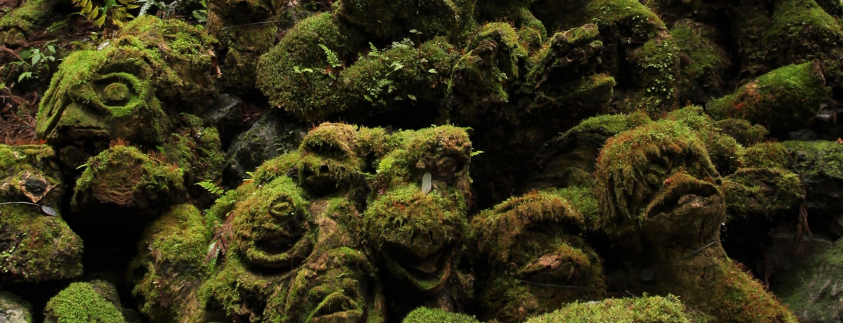 l\n͉͓悤IHmEl\uCmϊفvŃJbpƗVڂI