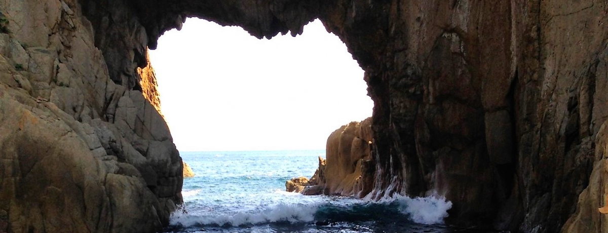 C̏_oImn[g`p[X|bguRv