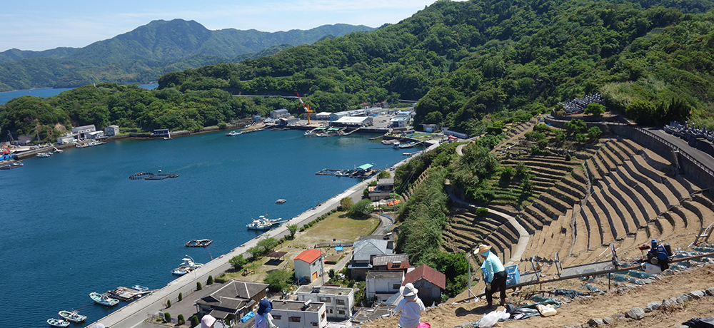 ~tB[!?QuVq׉Y̒ivƐiJtF