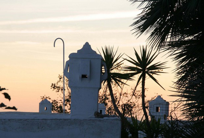 JvE[}ĉ̖--CƉԂƃ}JĂ̏s