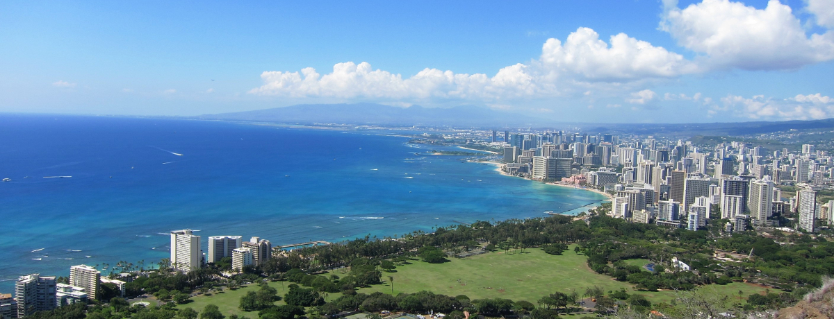 �_�C�������h�w�b�h�֓o�R�ɍs�����I�R�[�X��s�����A���ӓ_�Ȃǂ��Љ�