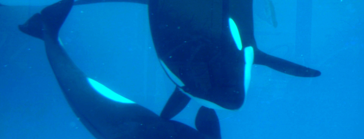 V[[hŁAV`𖞋iI`V`D̂܂`