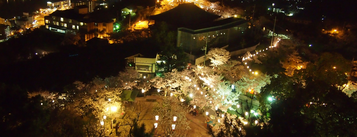 t̔uv͖邪IXXIƖĩR{ɃEbg