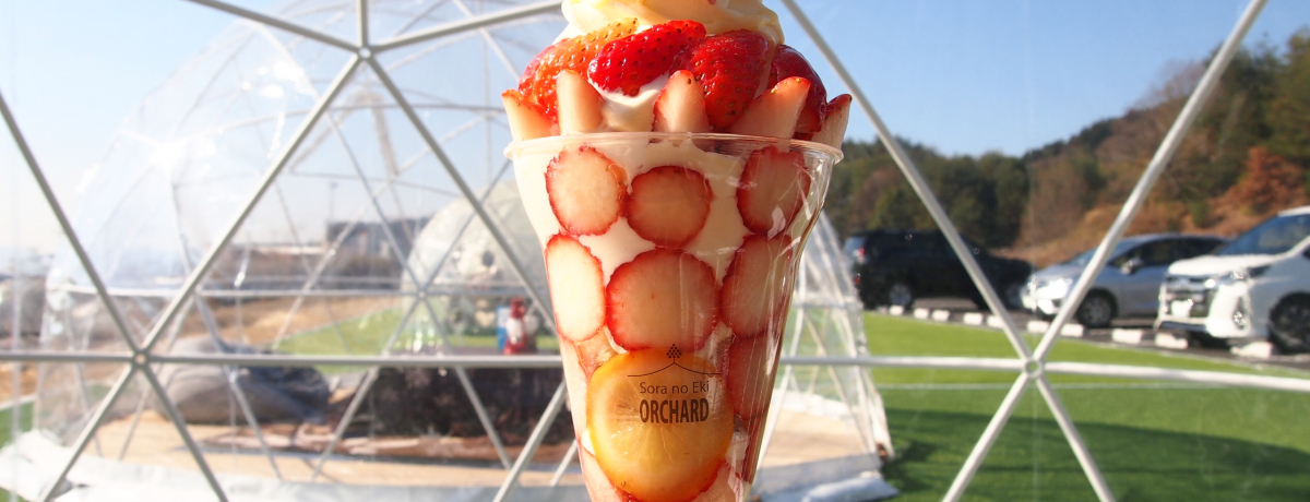 L̐VCX^fX|bgủwI[`[hvŃOsOC